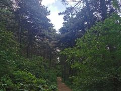 -沈阳辉山风景区