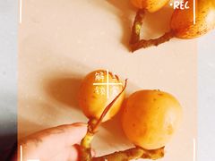 -塘栖枇杷特色园区