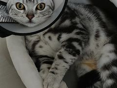 -荔康动物医院(康王北路店)