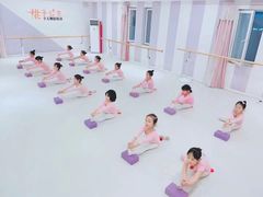 -桃子公主舞蹈培训(万柳校区)