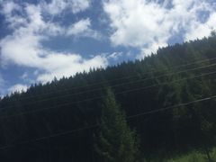 -苏木山森林公园