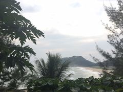 -广东惠东海龟国家级自然保护区