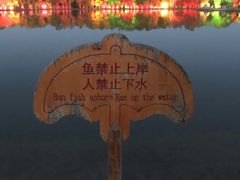 -金塔沙漠胡杨林景区