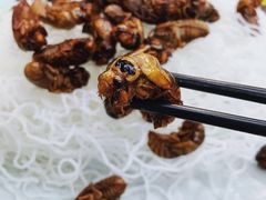-赵记煎饼卷大葱(泰山大街店)