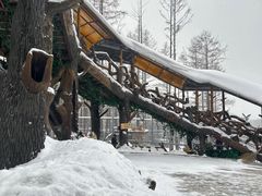 -横道河子东北虎林园