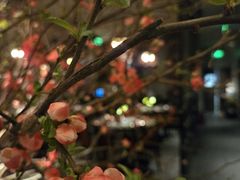 -荣记火锅(青悦城店)