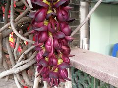 -牛王庙众望面馆