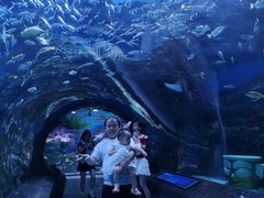 -海合安成都极地海洋公园
