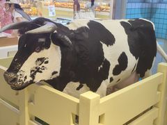 -红星前进面包牛奶公司(君太店)