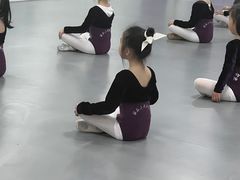 -西安小天鹅艺术团(金花路校区)