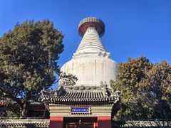 -妙应寺白塔