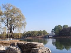 -大兴滨河森林公园