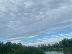 -禹州森林植物园