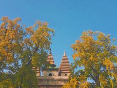 -北京石刻艺术博物馆(五塔寺)