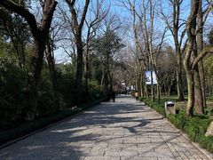 -杭州植物园
