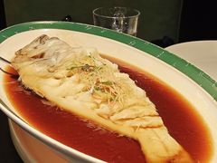 -金狮麟·新豫菜(金码大厦店)