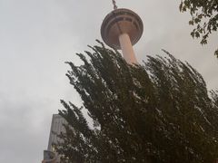 -辽宁电视塔