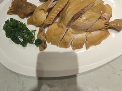 -南枝记