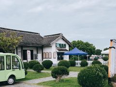 -莲花岛景区