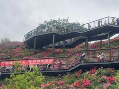 -白石龙音乐公园