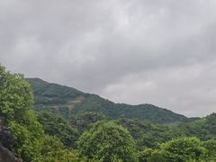 -千岛湖石林