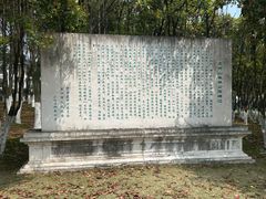 -宜兴龙背山森林公园