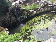-漫渡庄绿岛花园•隐世庭园菜(滨湖店)