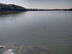 -丁香湖公园