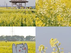 -阳澄湖半岛旅游度假区