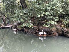 -兰亭风景区