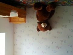 android_upload_pic-金山农民画村-枫泾波兰倒置屋