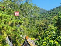 -潭柘寺景区