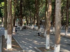-白马涧龙池景区