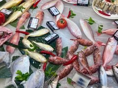 -吴记富苑(朝阳店)