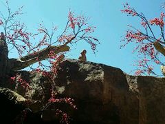 -哈尔滨文化公园