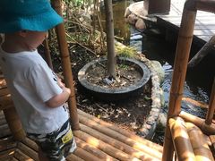 -上海大自然野生昆虫馆(东方明珠·爬宠昆虫探索中心)