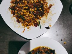 细粉豆芽-老牌坊鲁菜名店(美莲广场店)