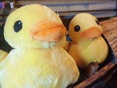 -大理岛·精品云南菜·音乐餐厅