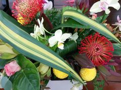 -荷兰花海