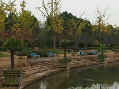 -新江湾城公园
