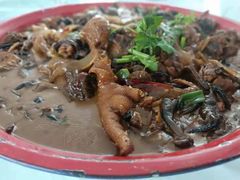 -庆岭迎宾园正宗活鱼馆