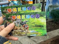 -攀枝花公园