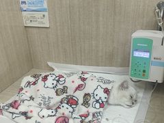 -北京观赏动物医院·24小时大型综合·猫专科·异宠专科