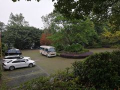 -三峡梯城