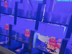 -七欣天香辣蟹火锅(闵行浦江欢乐颂店)