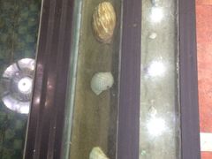 -天宝海鲜酒楼(开发区珠江道店)