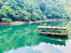 -鼎湖山风景区