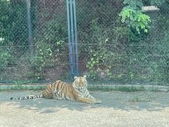 -大连森林动物园