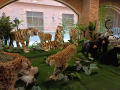 -南宫五洲植物乐园