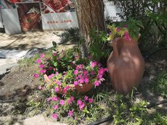 -杜氏旅游度假区